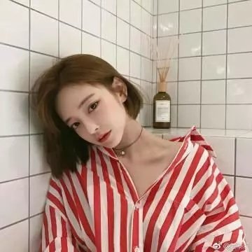 法网追凶